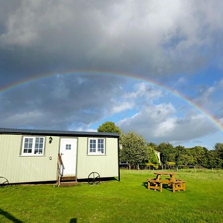 Cwtch Glamping Shepherds Huts Abergavenny Dış mekan fotoğraf