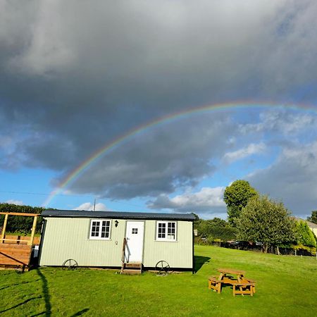 Cwtch Glamping Shepherds Huts Abergavenny Dış mekan fotoğraf