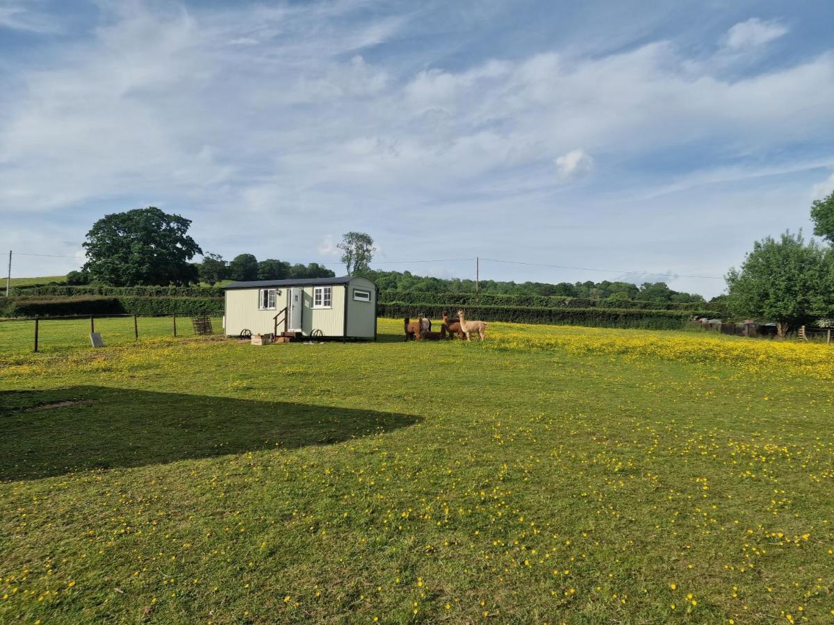 Cwtch Glamping Shepherds Huts Abergavenny Dış mekan fotoğraf