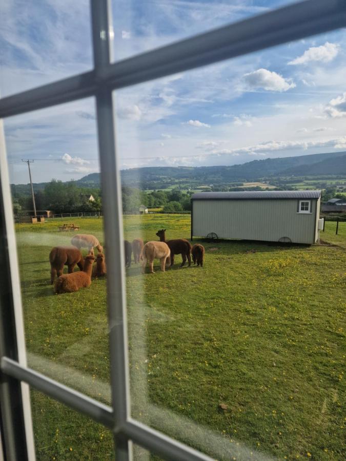 Cwtch Glamping Shepherds Huts Abergavenny Dış mekan fotoğraf