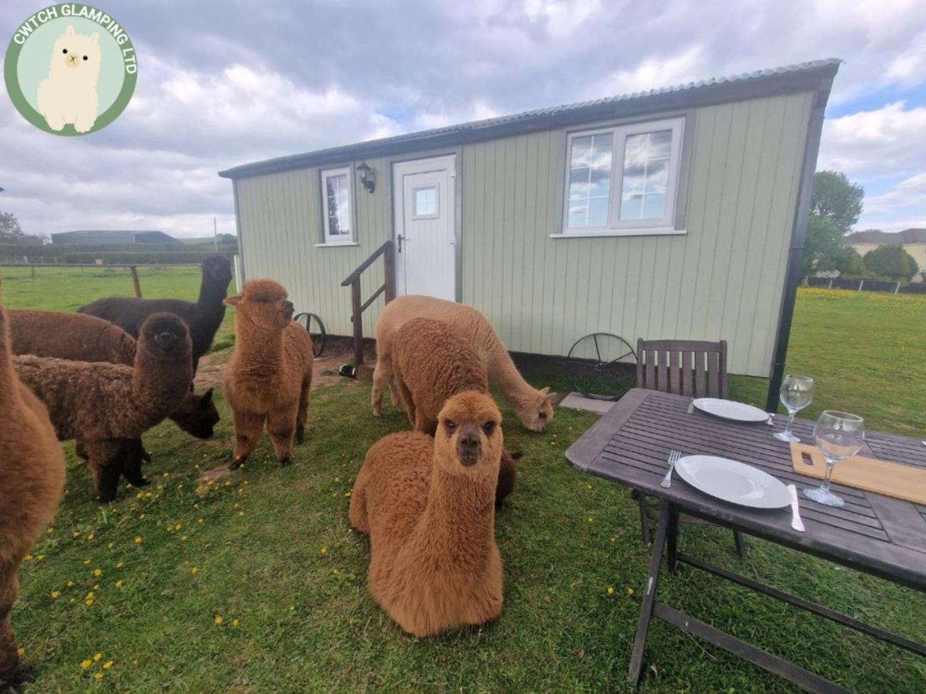 Cwtch Glamping Shepherds Huts Abergavenny Dış mekan fotoğraf